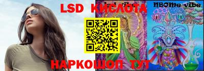 ПСИЛОЦИБИНОВЫЕ ГРИБЫ Кандалакша