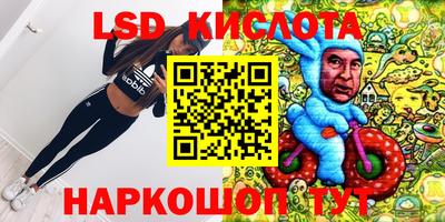 Альфа ПВП Камышлов