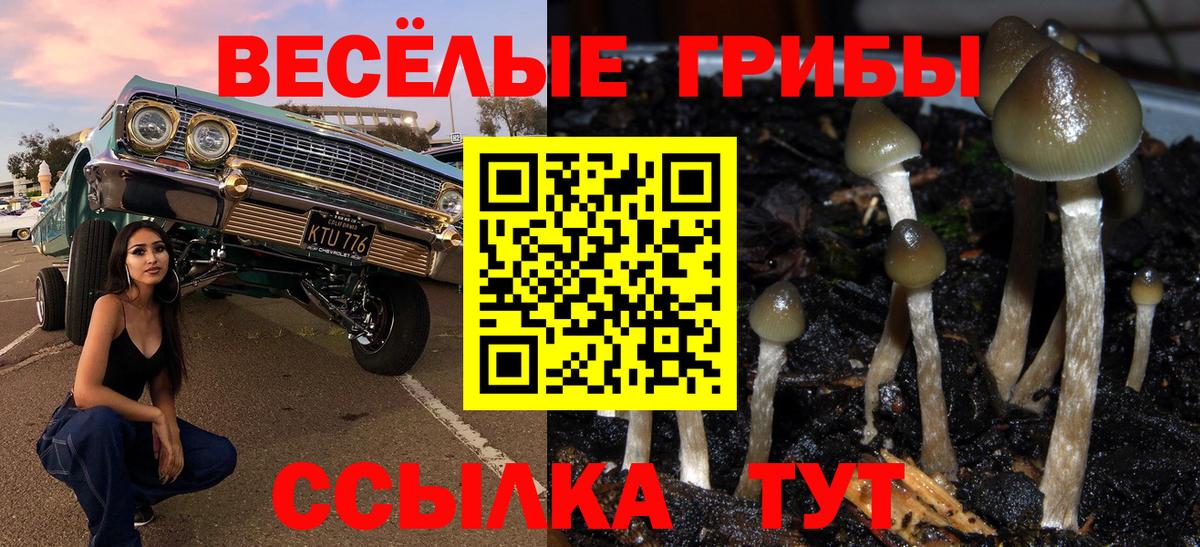 Галлюциногенные грибы Magic Shrooms Бирск