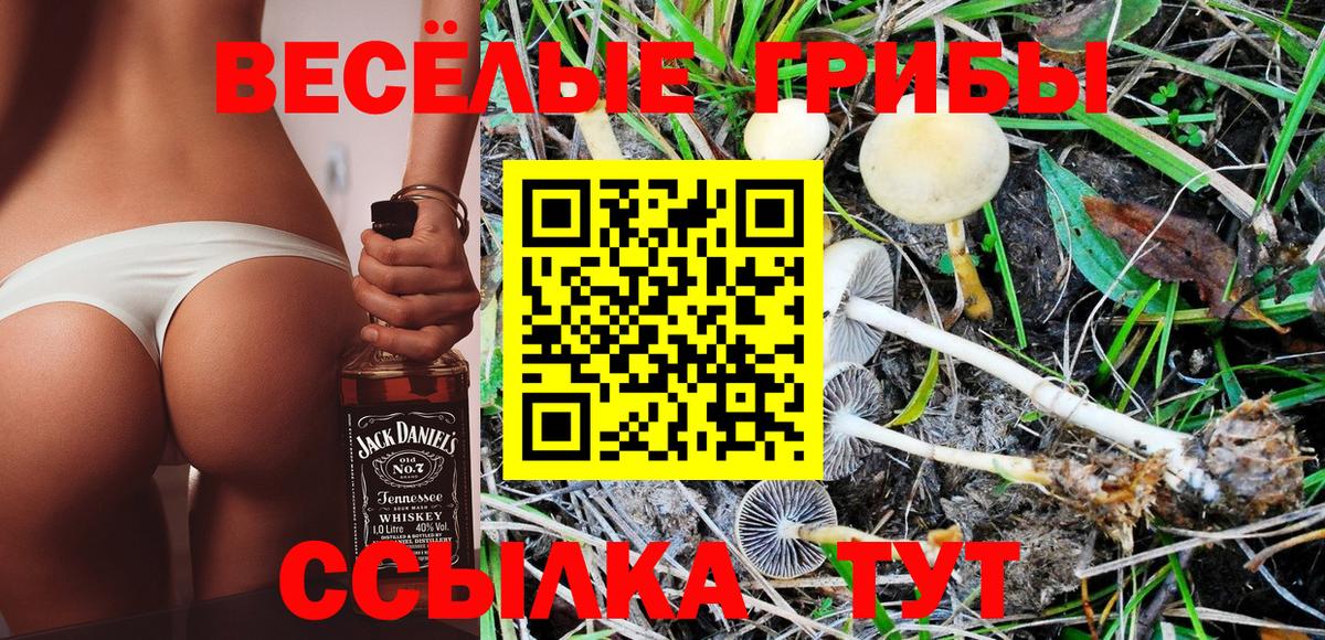 Псилоцибиновые грибы Psilocybe  Псилоцибиновые грибы Psilocybine cubensis  Вход с VPN  Бирск 